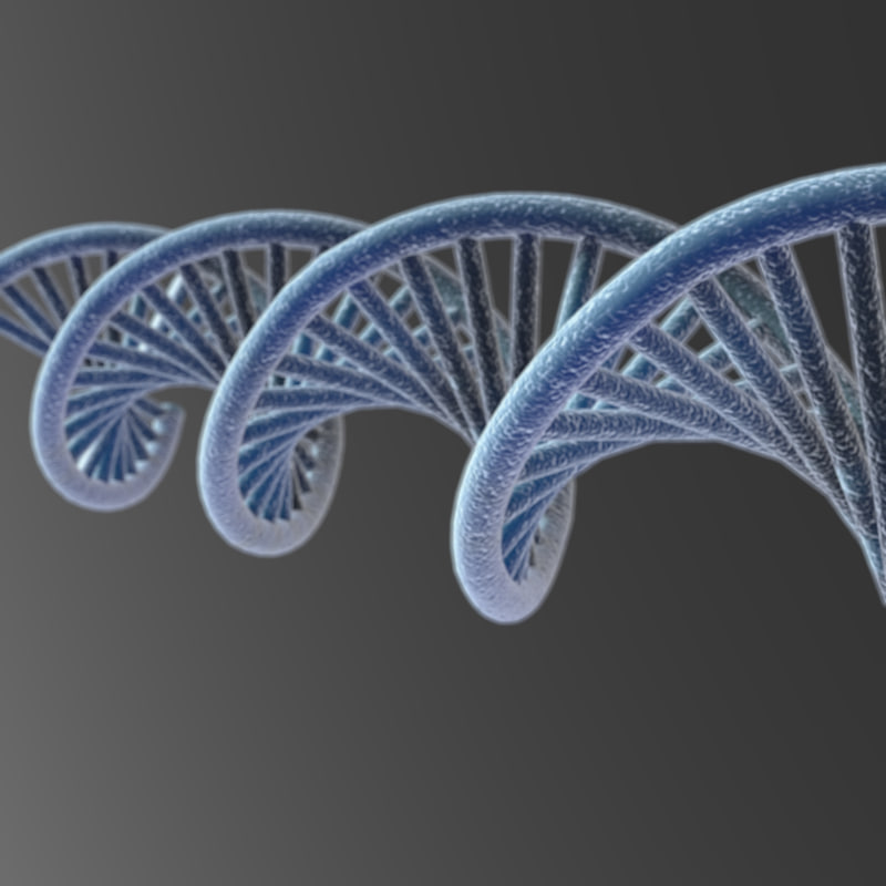 DNA 3D model