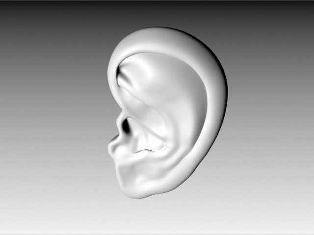 Ear 3D model