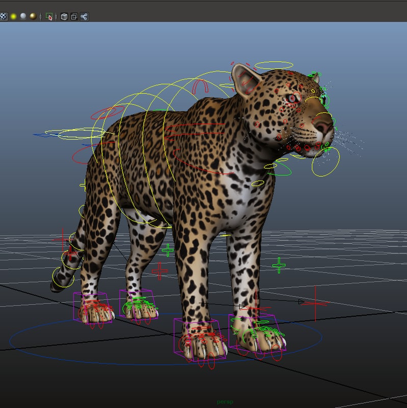 Leopard 3D model