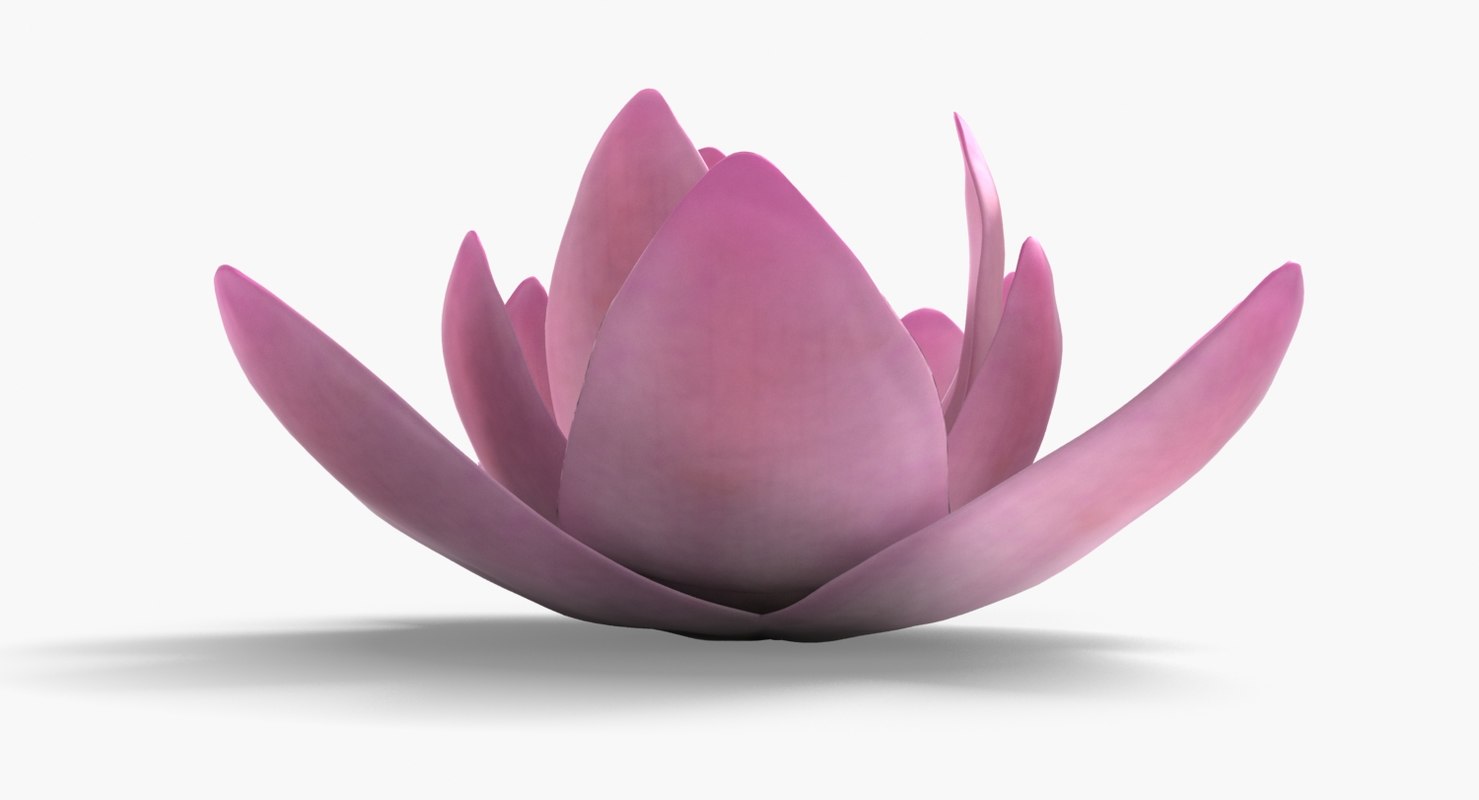 Lotus 3D model