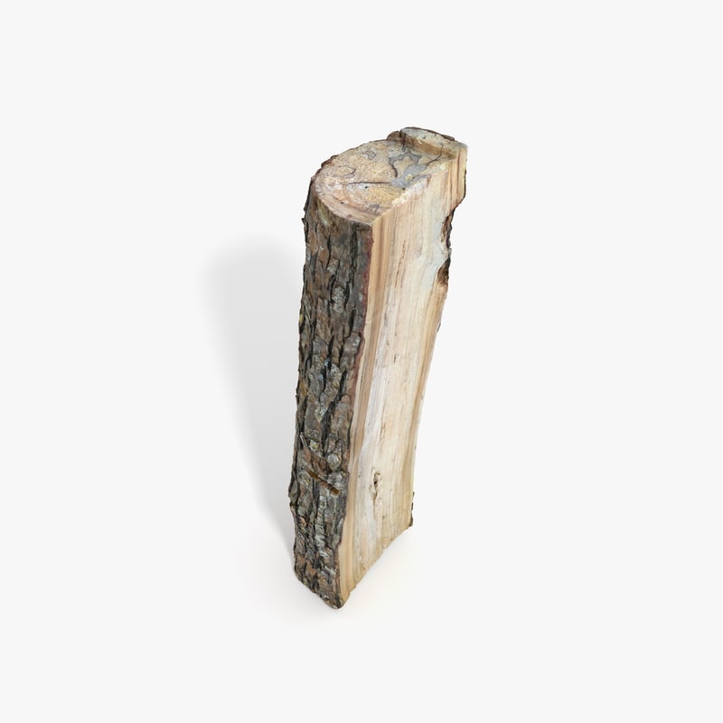 Pine Log 3D model
