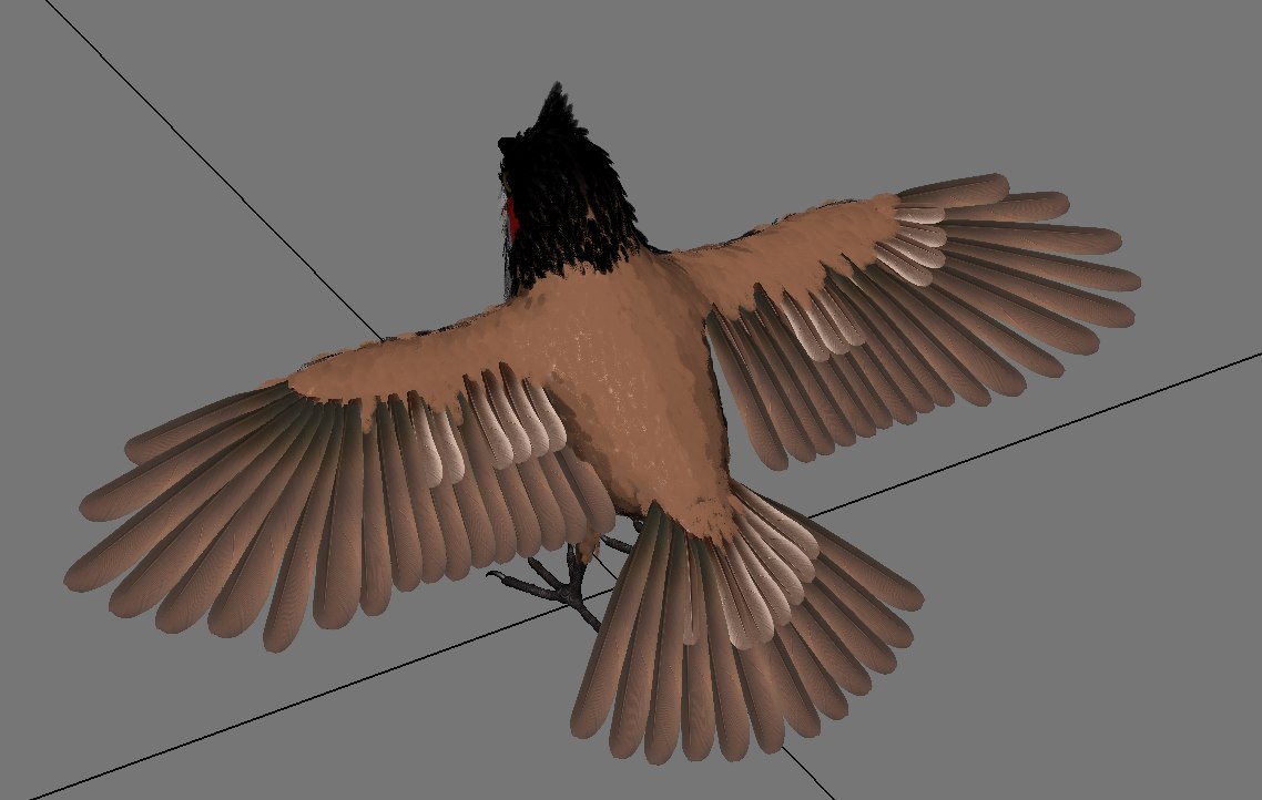 Red Whisker Bird 3D model