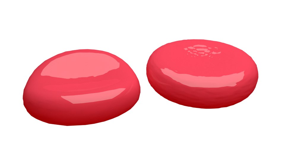 Red blood cell 3D model