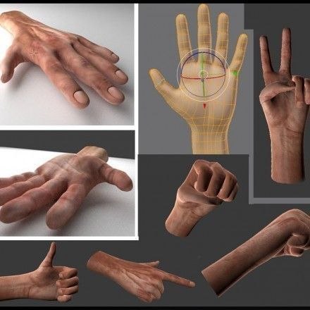 Rigged Hands 3D model