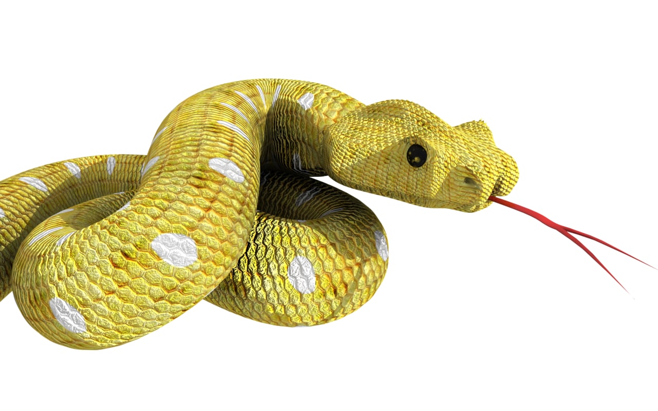 3D SNAKE