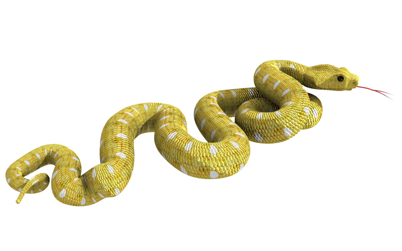 Snake 3D model