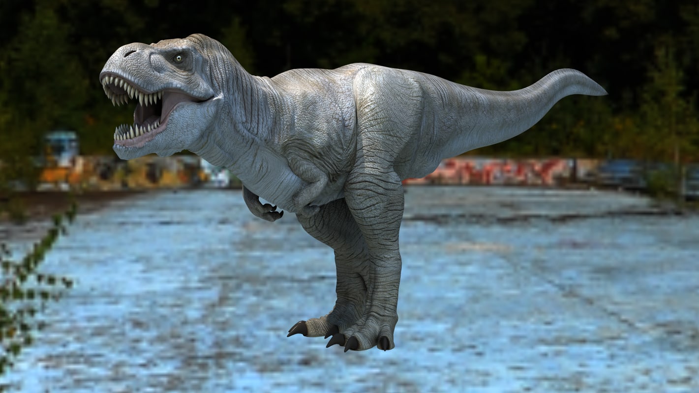 Tyrannosaurus rex 3D model