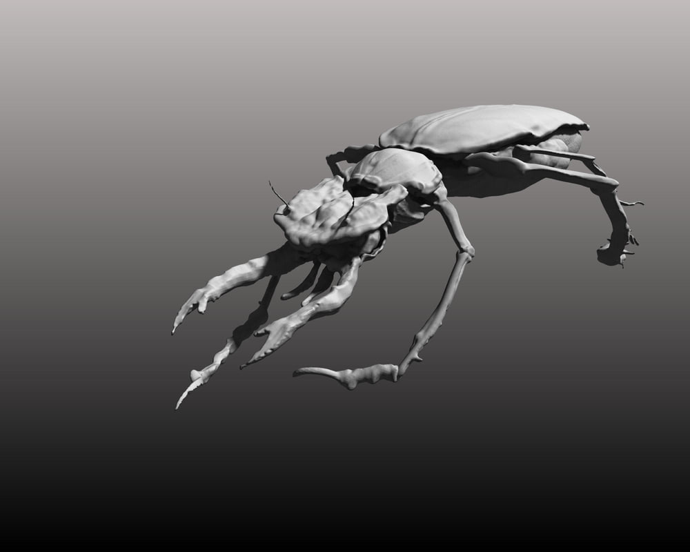 Beetle 3D model