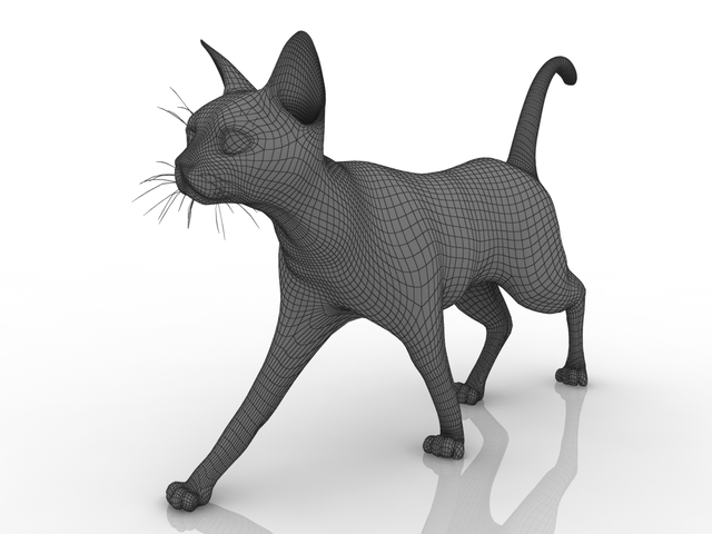 Cat 3D model
