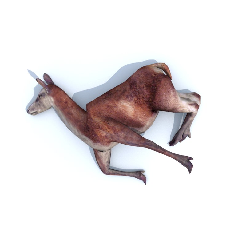 Deer 3D model