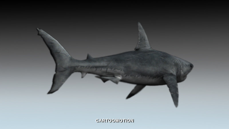 Great White Shark 3D model