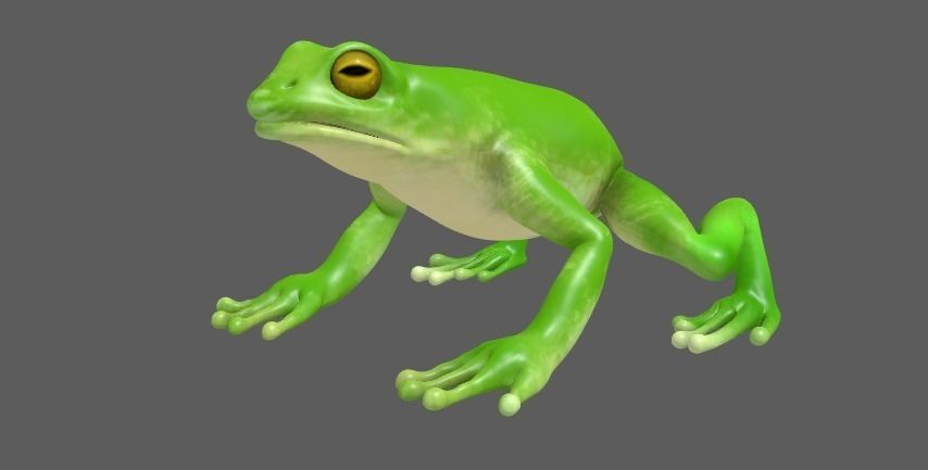 Green Frog 3D model