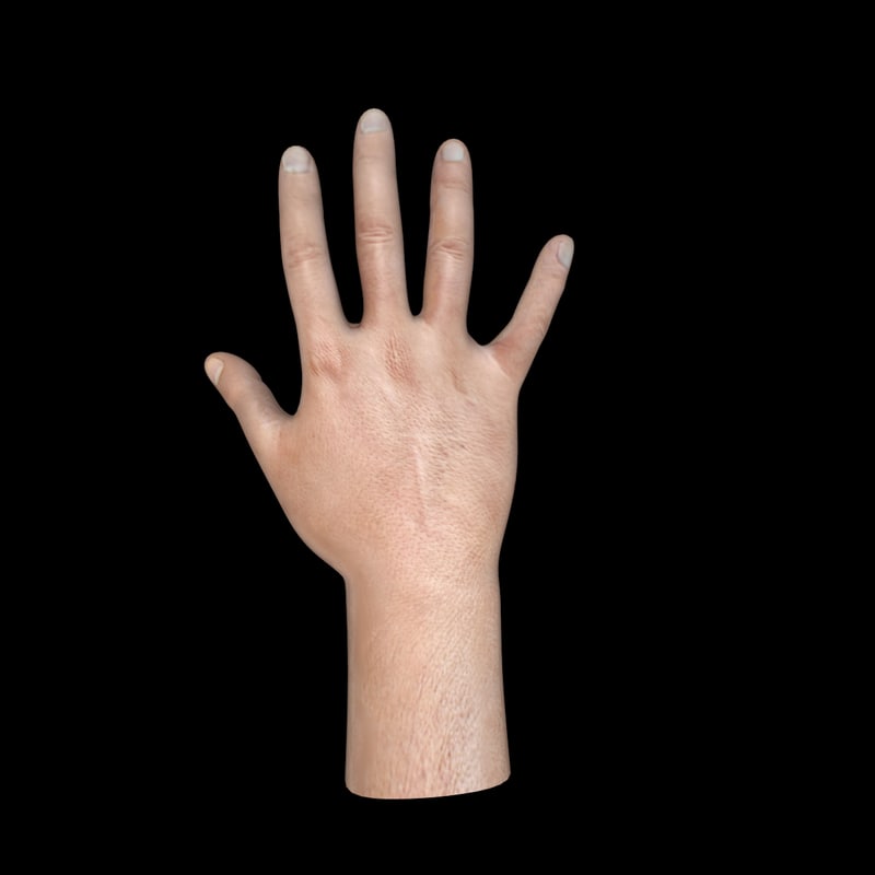 Hand 3D model