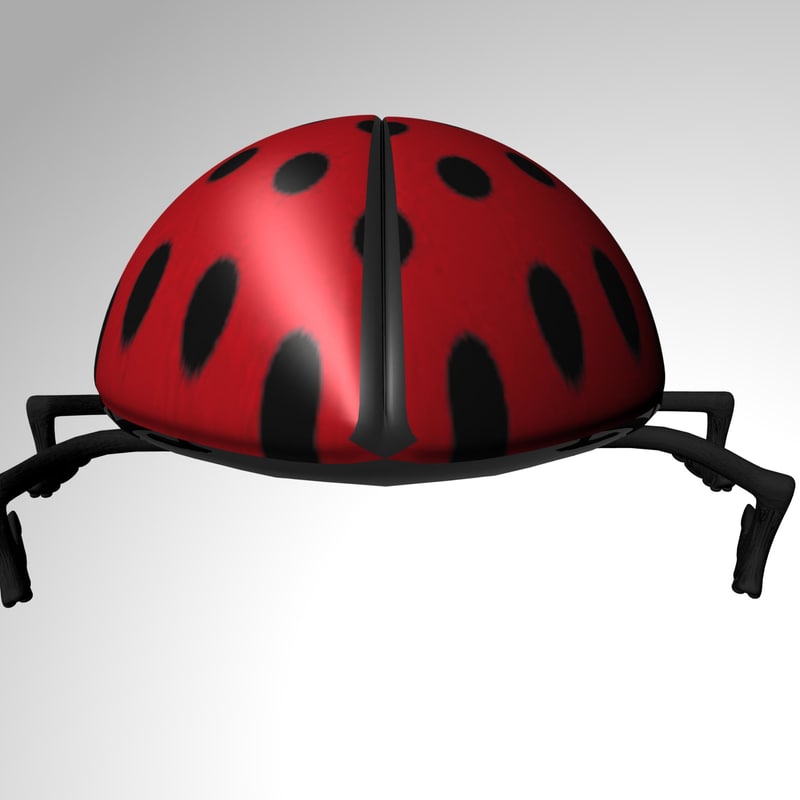 Ladybird 3D model