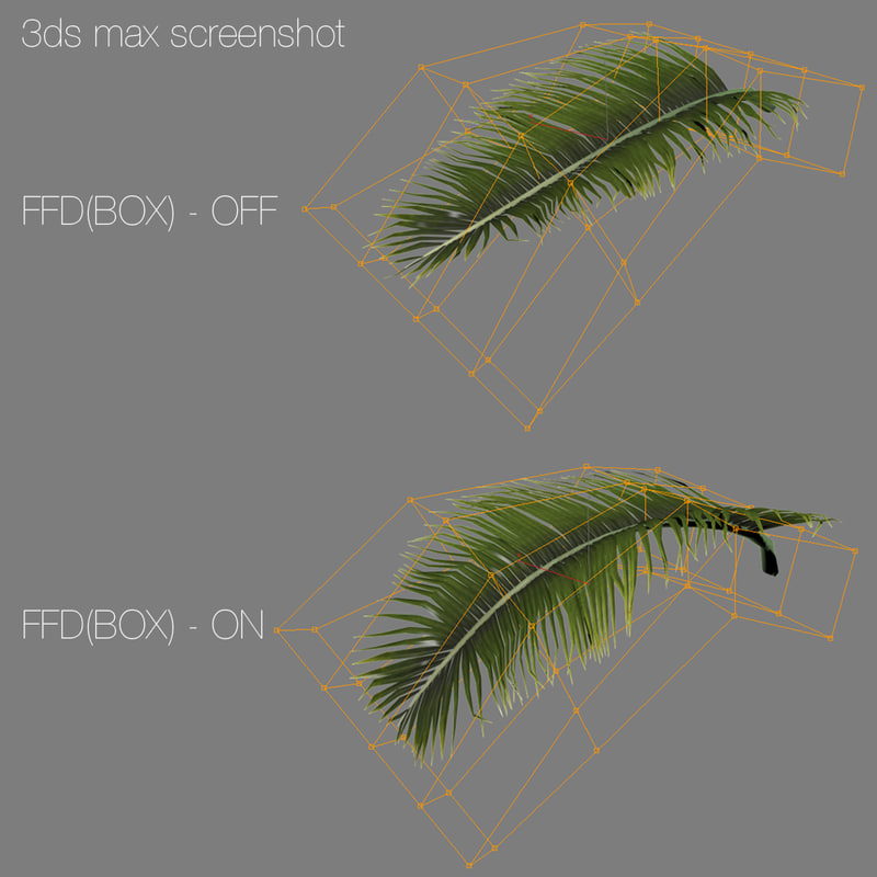 Palm tree 3D model