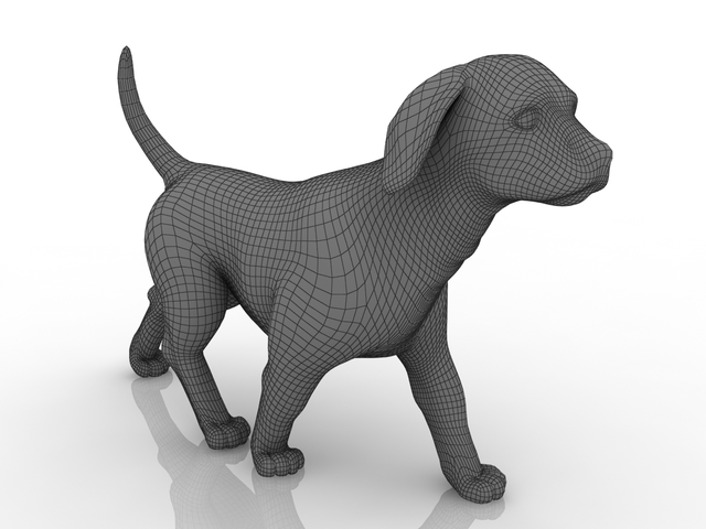 Puppy 3D model