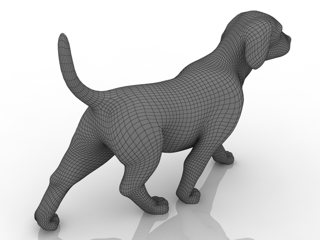 Puppy 3D model