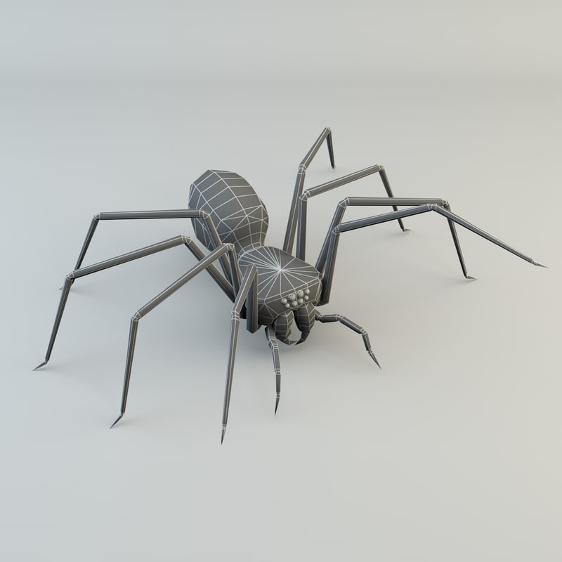 Spider 3D model