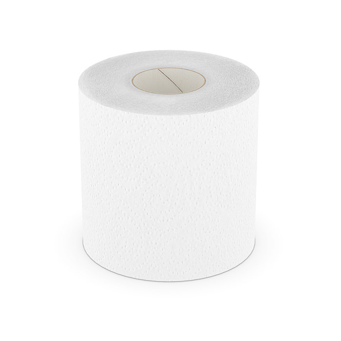 Toilet paper 3D model