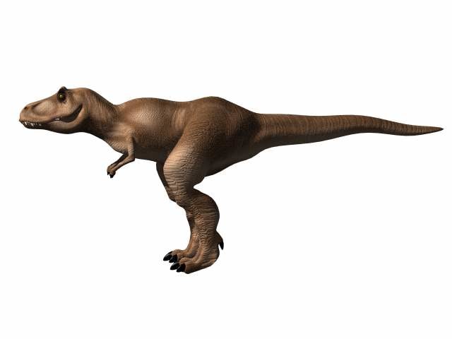 Tyranosaurus 3D model
