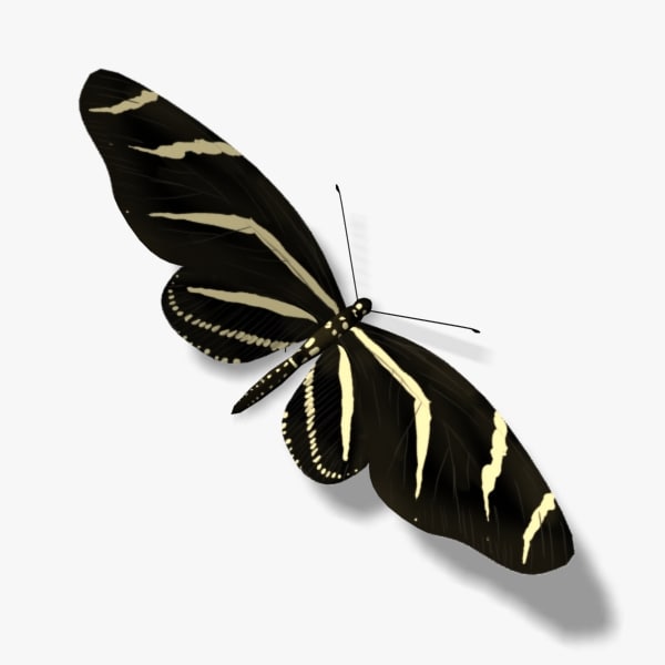 Zebra Butterfly - Free 3D models