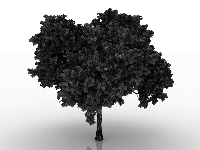 Avocado tree 3D model