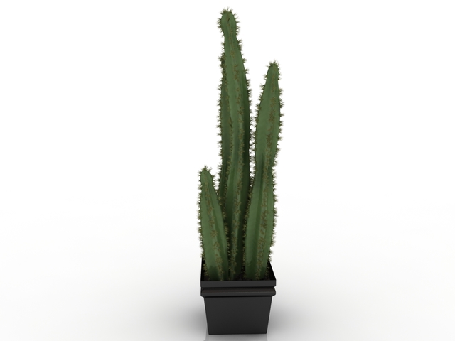 cactus 3d model free