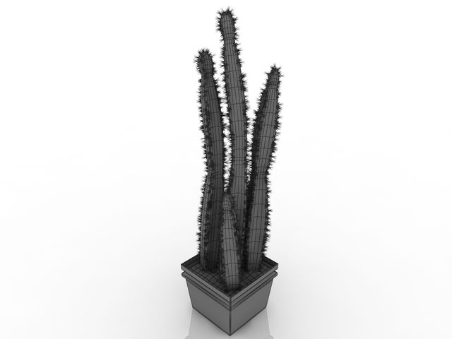 cactus 3d model free download