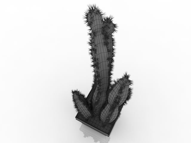 cactus free 3d model