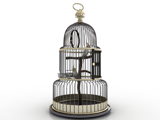 Cage with a parrot 3D model