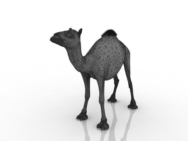 Camel 3D model