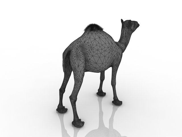 Camel 3D model