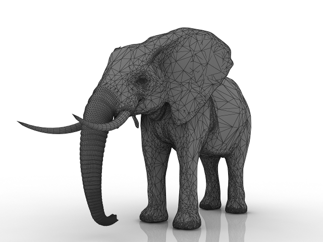 Elephant 3D model