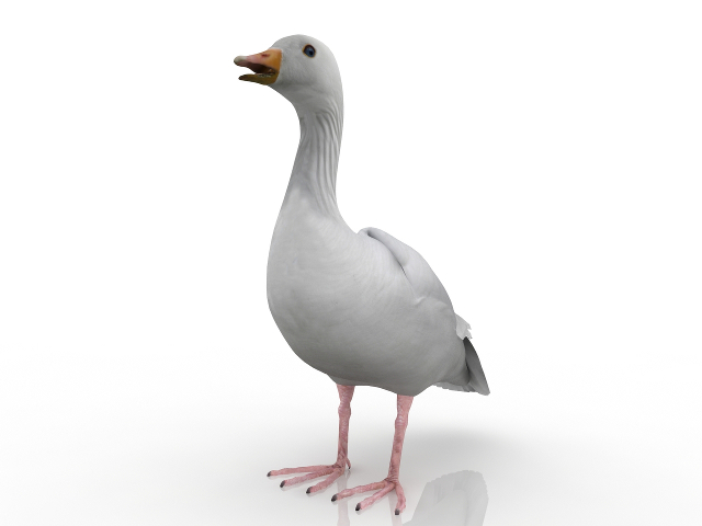 Goose 3D model