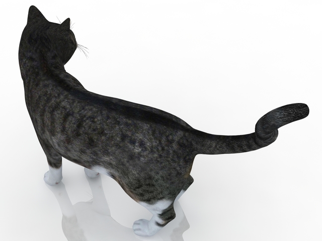Kitty 3D model