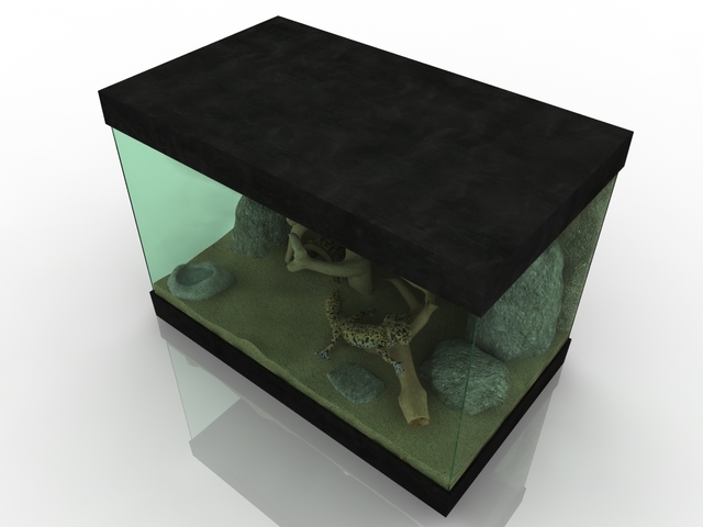 Terrarium with a gecko 3D model