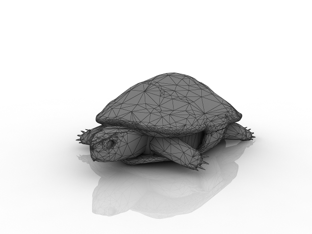 Turtle 3D model