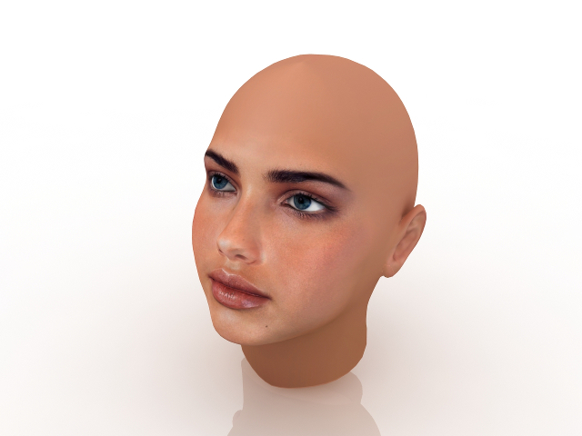 Woman's head 3d model