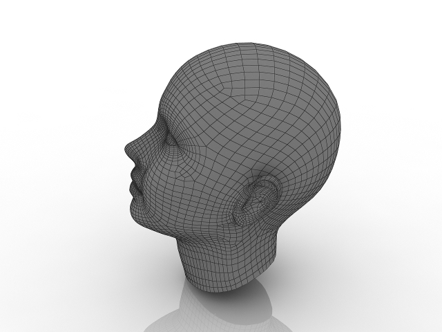 Woman's head 3d model