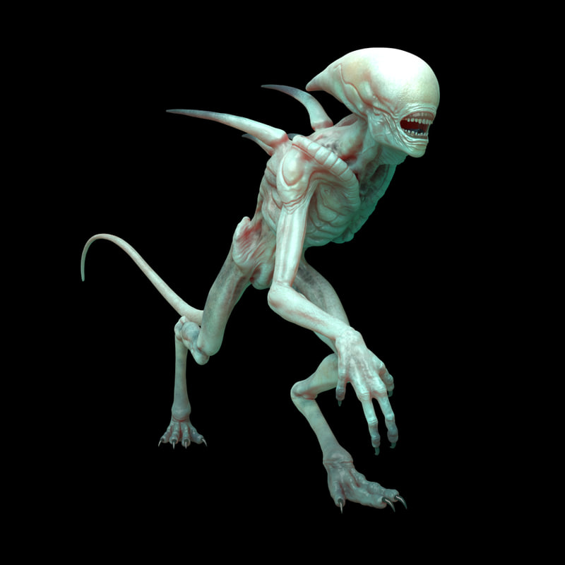 Alien Covenant 3D model