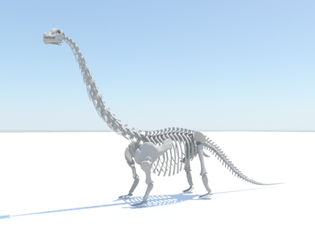 Apatosaurus Skeleton 3D model