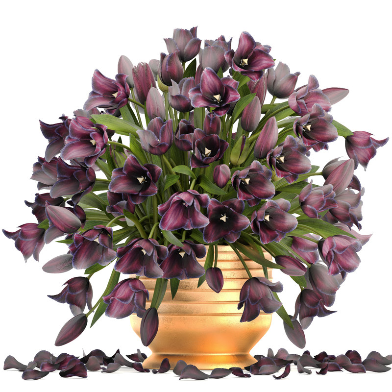 Bouquet of tulips 3D model