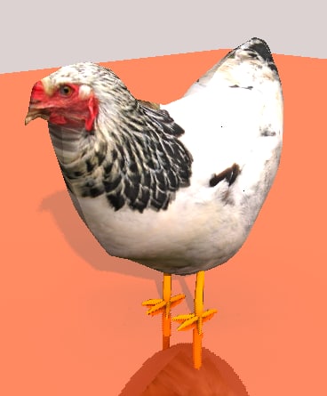 Chicken 3D model