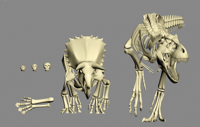 Dinosaur Bones 3D model