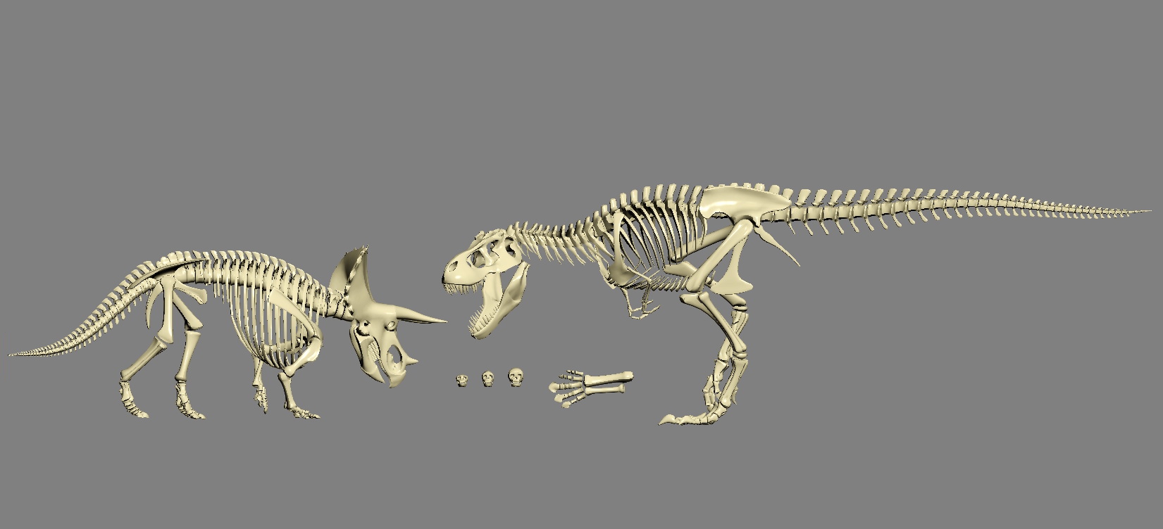 Dinosaur Bones 3D model