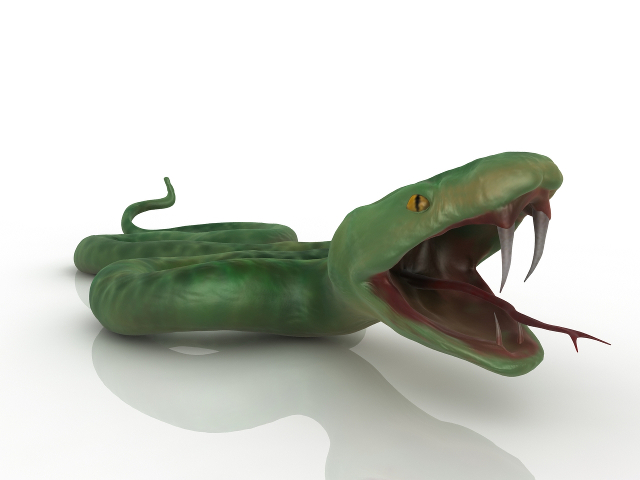 Green Snake 3D model