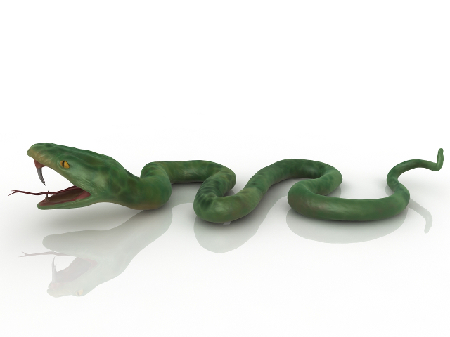 Green Snake 3D model