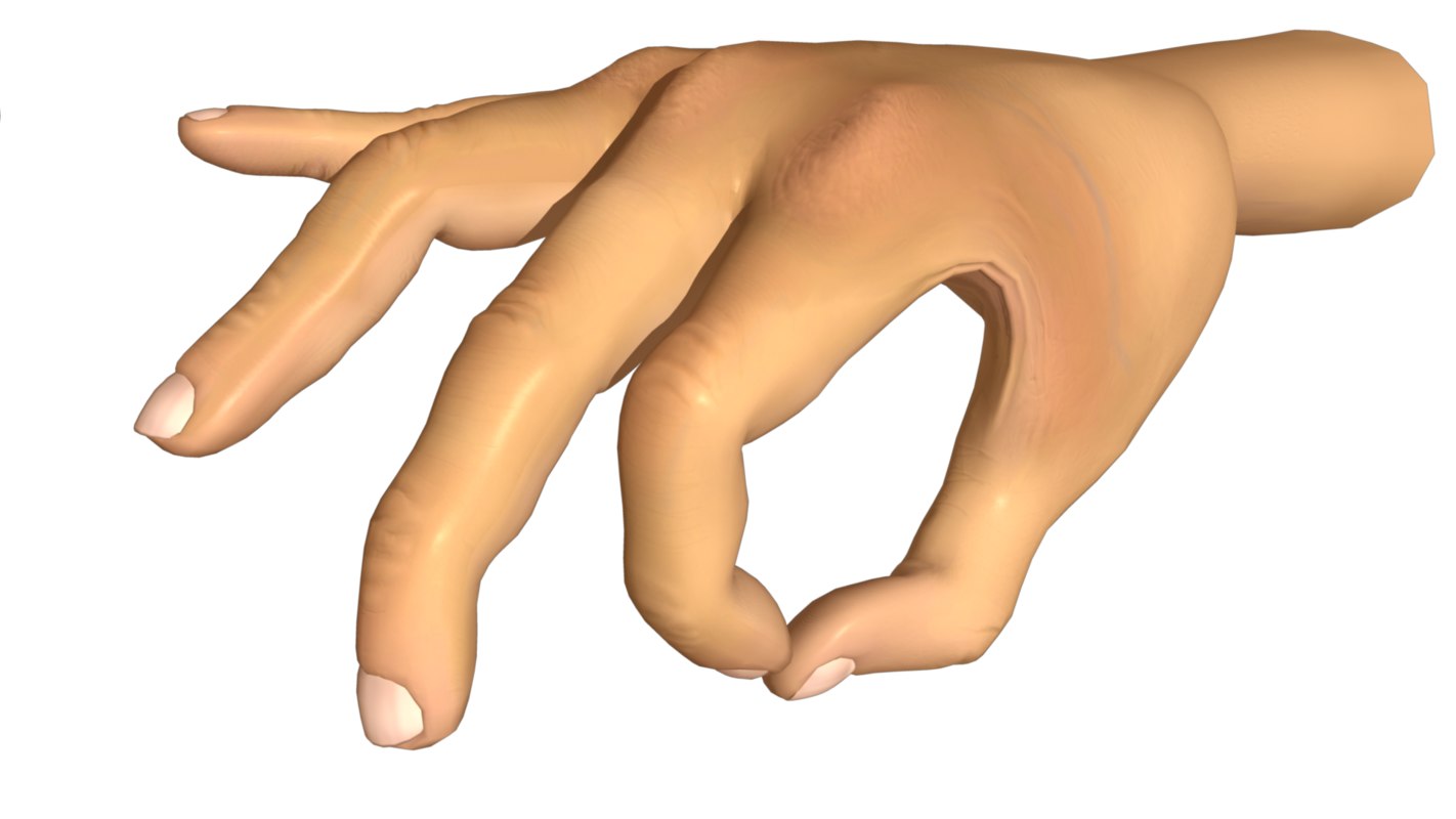 Human hand 3D model
