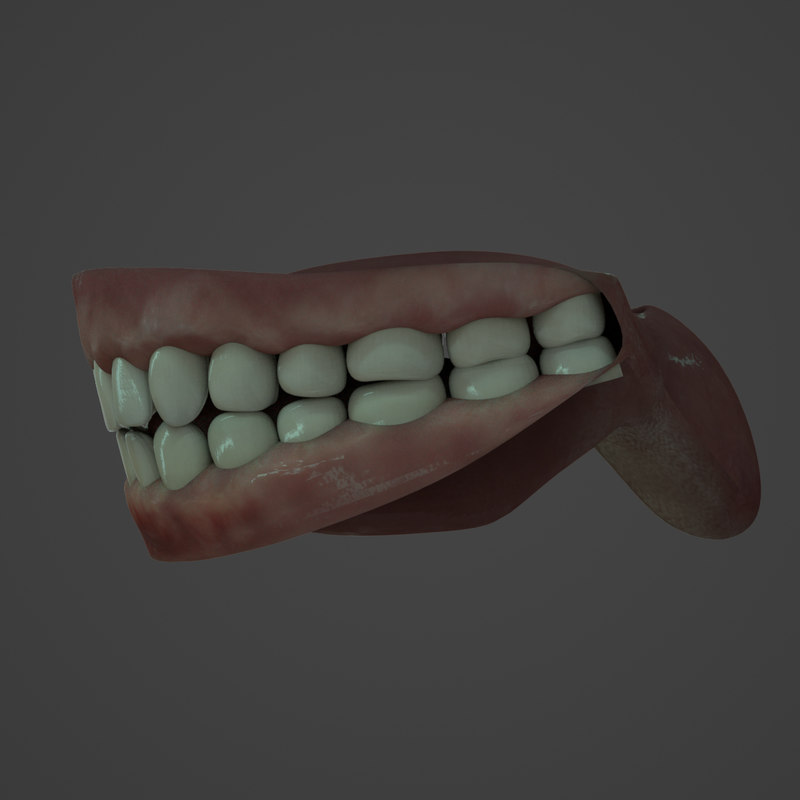 Human teeth 3D model