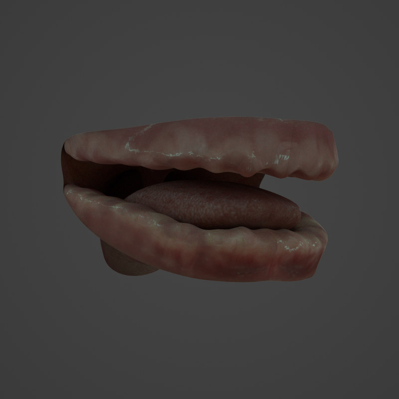 Human teeth 3D model